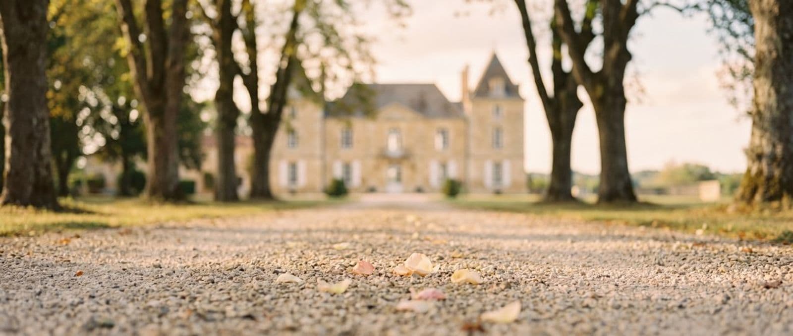 Allée d’arbres menant à un château de réception en France